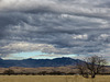 The Whetstone Mountains