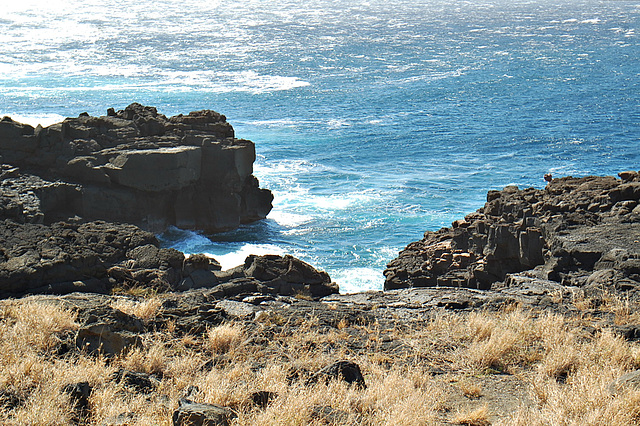 Rocky shore