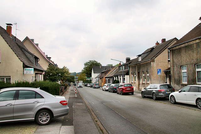 Distelner Straße (Herten-Disteln) / 17.10.2020