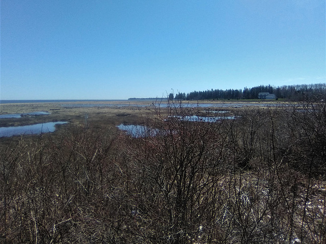 Nature Bouctouchienne (1)