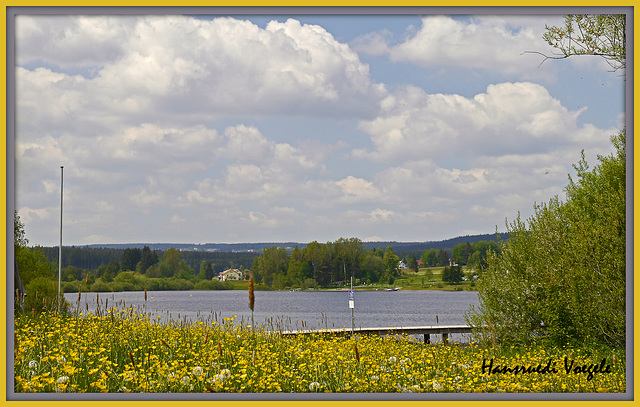 Am Kirnbergsee