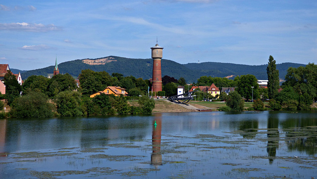 Neckar bei Ladenburg