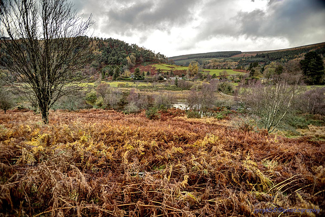 Glendalough 29