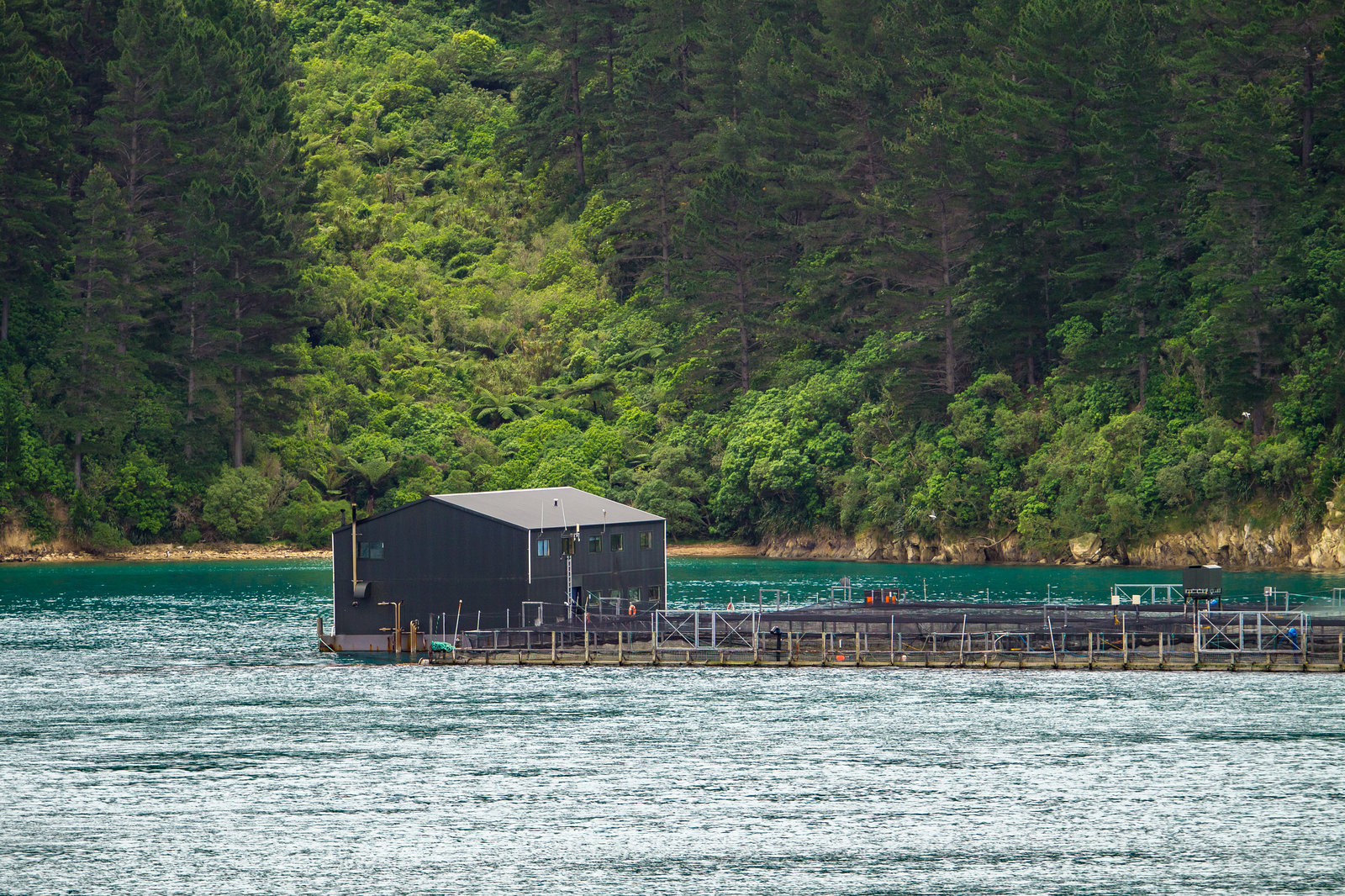 Neuseeland - Marlborough Sounds