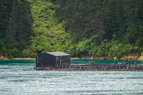 Neuseeland - Marlborough Sounds