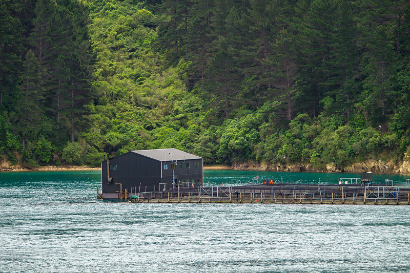 Neuseeland - Marlborough Sounds