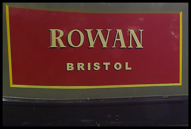 Rowan - Bristol