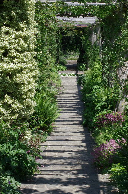 The Pergola