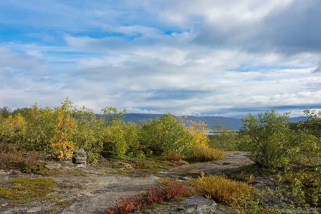 wandern über dem Abisko Canyon (© Buelipix)