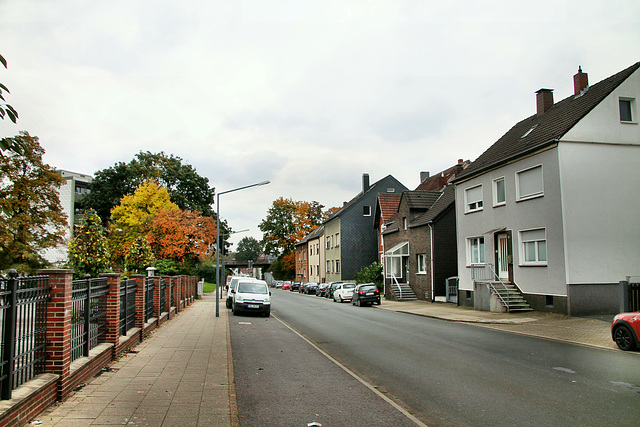 Reitkamp (Herten-Disteln) / 17.10.2020