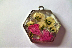 White flowers and pink geranium petals