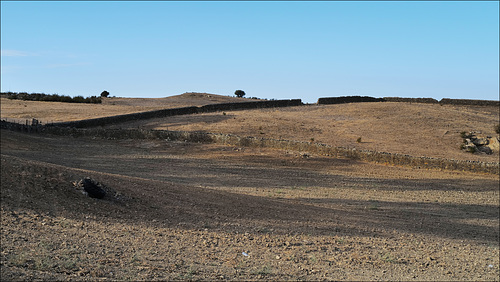 Thirsty Land... poetry?