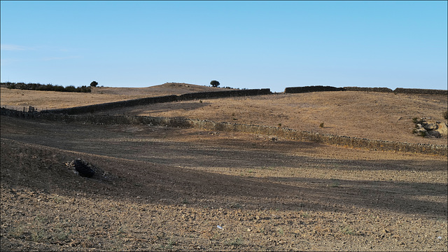 Thirsty Land... poetry?