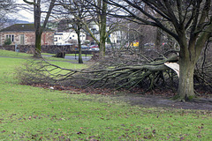 Storm Damage