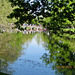 Reflections2