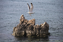 Stara Baska - Croazia