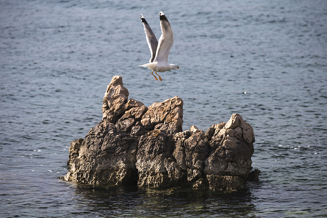 Stara Baska - Croazia
