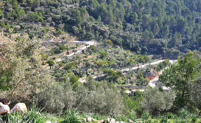 el camí per la vall de Sa Coma  (© Buelipix)