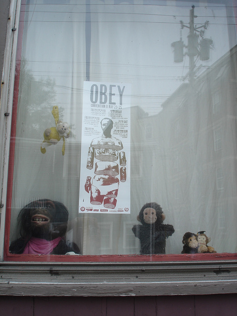 Obey window