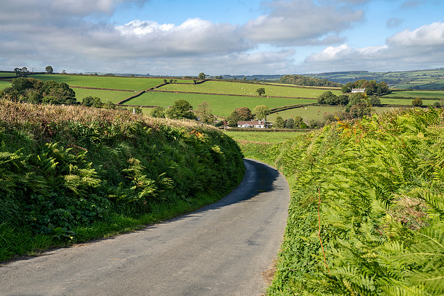 driving through Devon