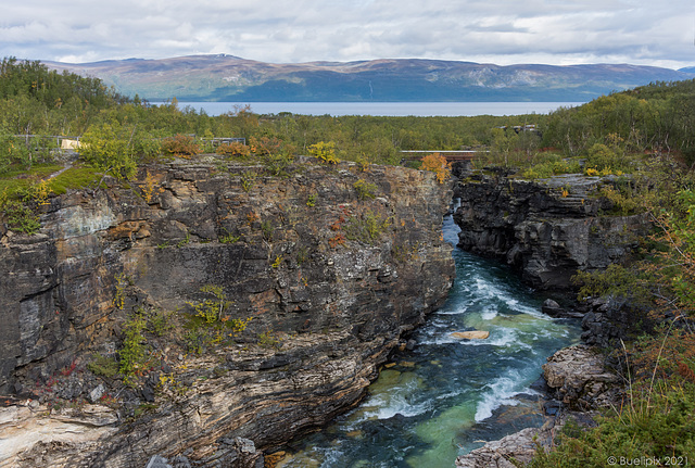 beim Abisko Canyon ... nach der schmalsten Stelle  (© Buelipix)