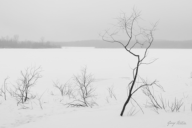 Méditations brumeuses