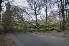 Storm Damage