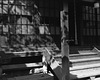 Shadows