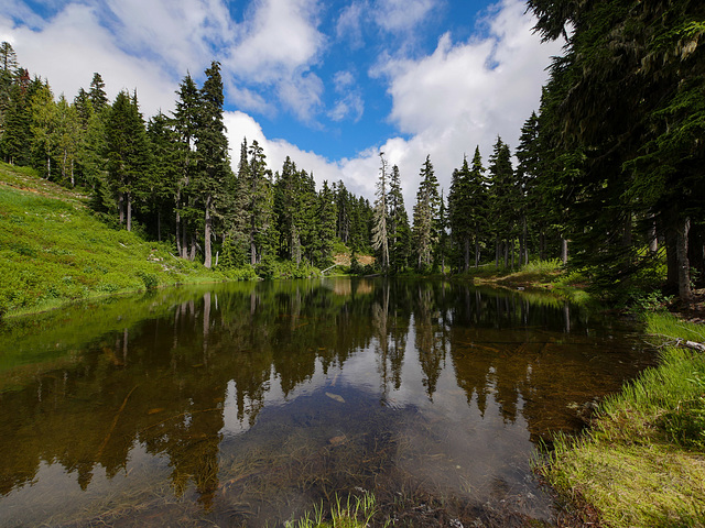 Wanderung zum Mt. Washington