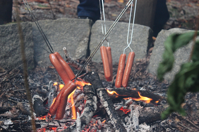 AH HA  our meal is on....mmmm!  2 hot dogs apiece :)))