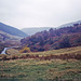 Looking upstream along the River Alport from near Alport Farm (Scan from Oct 1990)