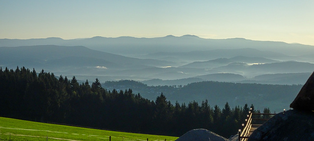 Arbermorgen Arbermorgen