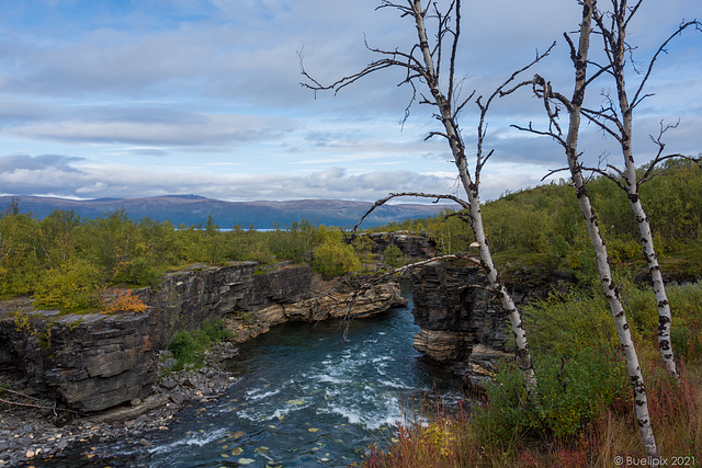 beim Abisko Canyon ... nach der schmalsten Stelle  (© Buelipix)