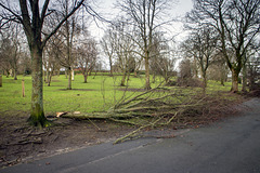 Storm Damage