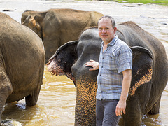 Sri Lanka tour - the fourth day - Pinnawala Elephant Orphanage