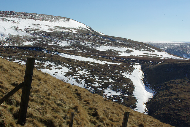 snow on James's thorn