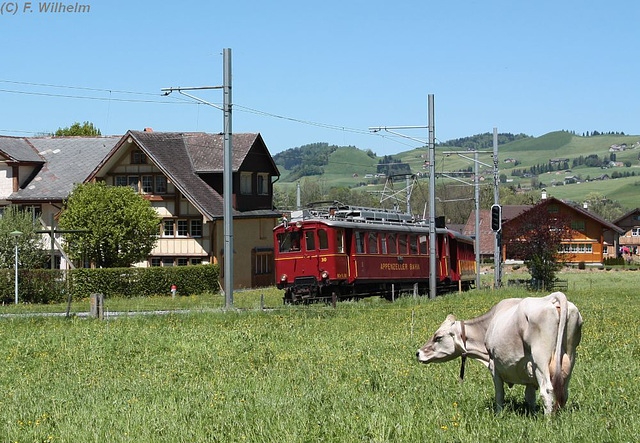 BÖ0015249