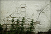 Weiße Wand spendet Schatten