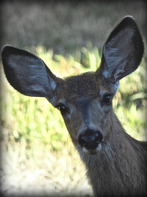 Behind our house.