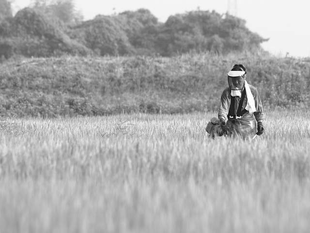 Managing weeds