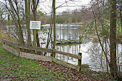 Lee Chapel Fishing Lake   /   Jan 2018