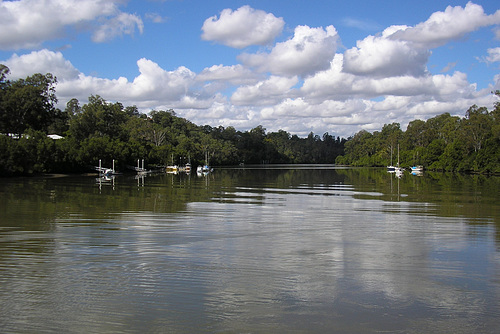 Brisbane River At Lone Pine