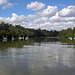 Brisbane River At Lone Pine