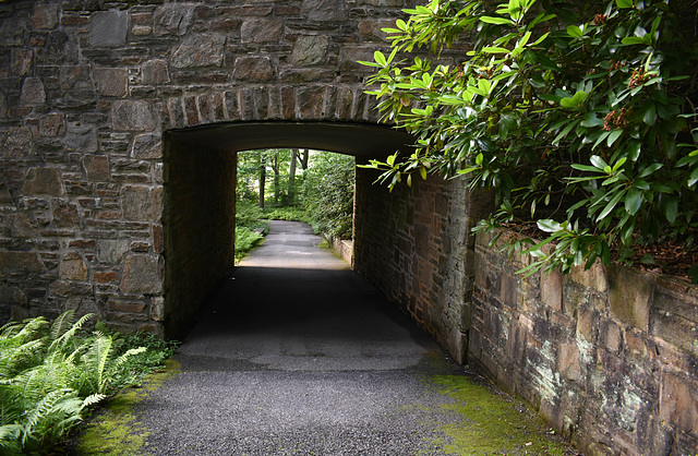 Through the Underpass...