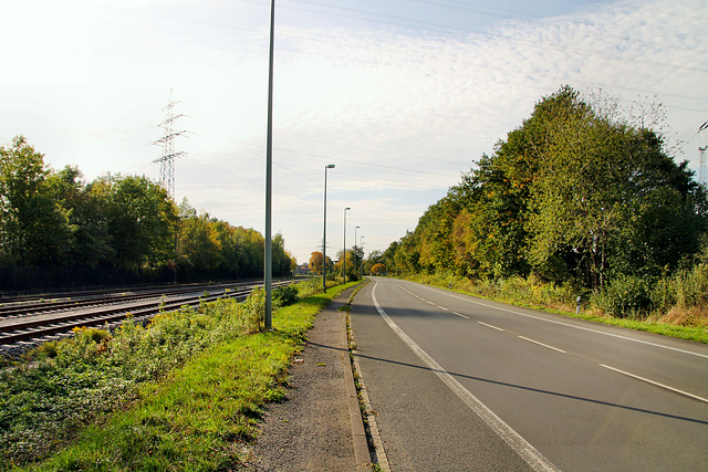 Hammer Straße (Werne-Stockum) / 13.10.2019