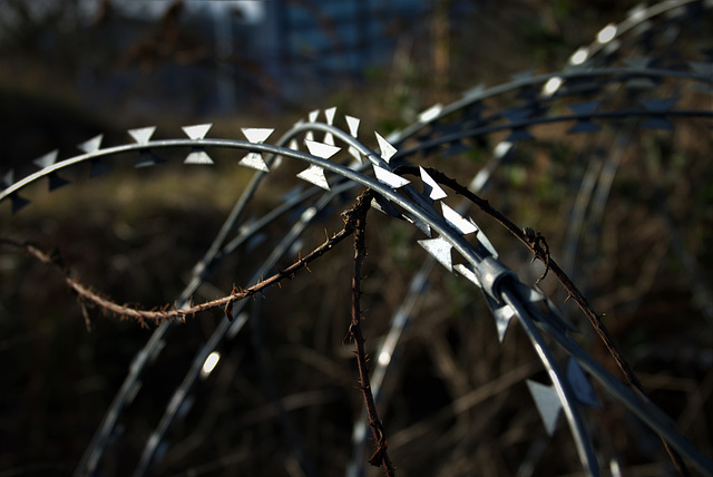 Razor Wire