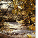 Autumn bench