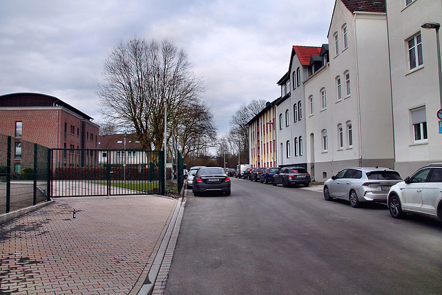 Eickeler Bruch (Wanne-Eickel) / 8.02.2025