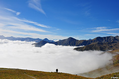 über dem Nebel am Schönjöchl (© Buelipix)