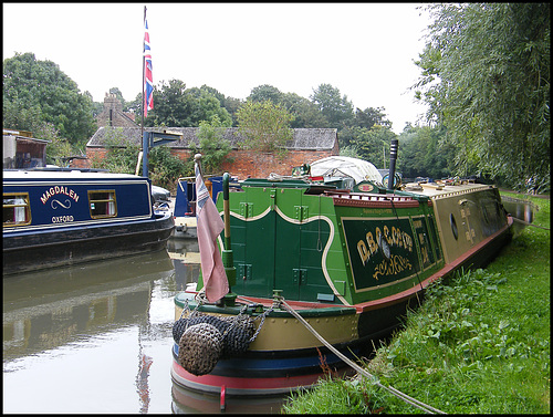 summer green canalside scene